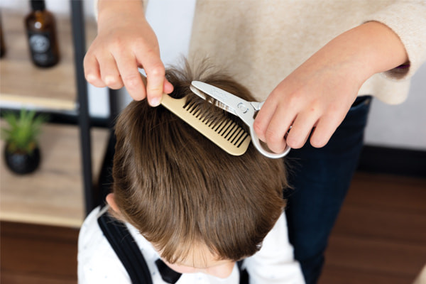 Zubehör einschließlich Kamm und Schere